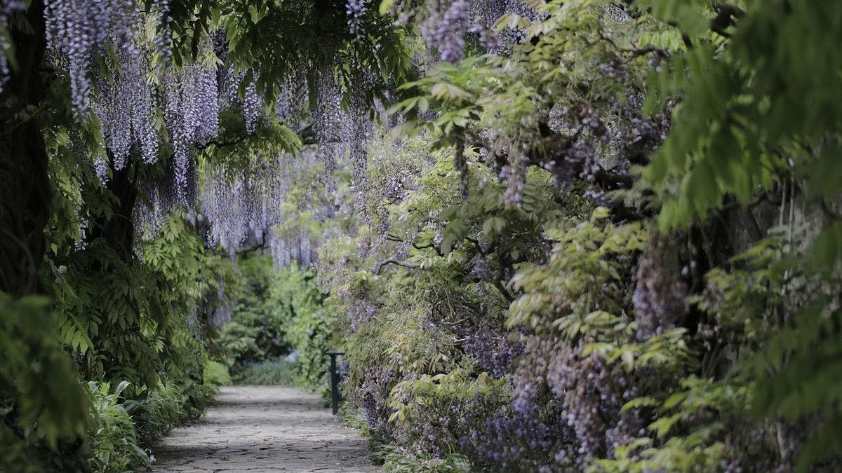 Жителям Люксембурга предлагают отправиться в ближайший сад ради спасения климата