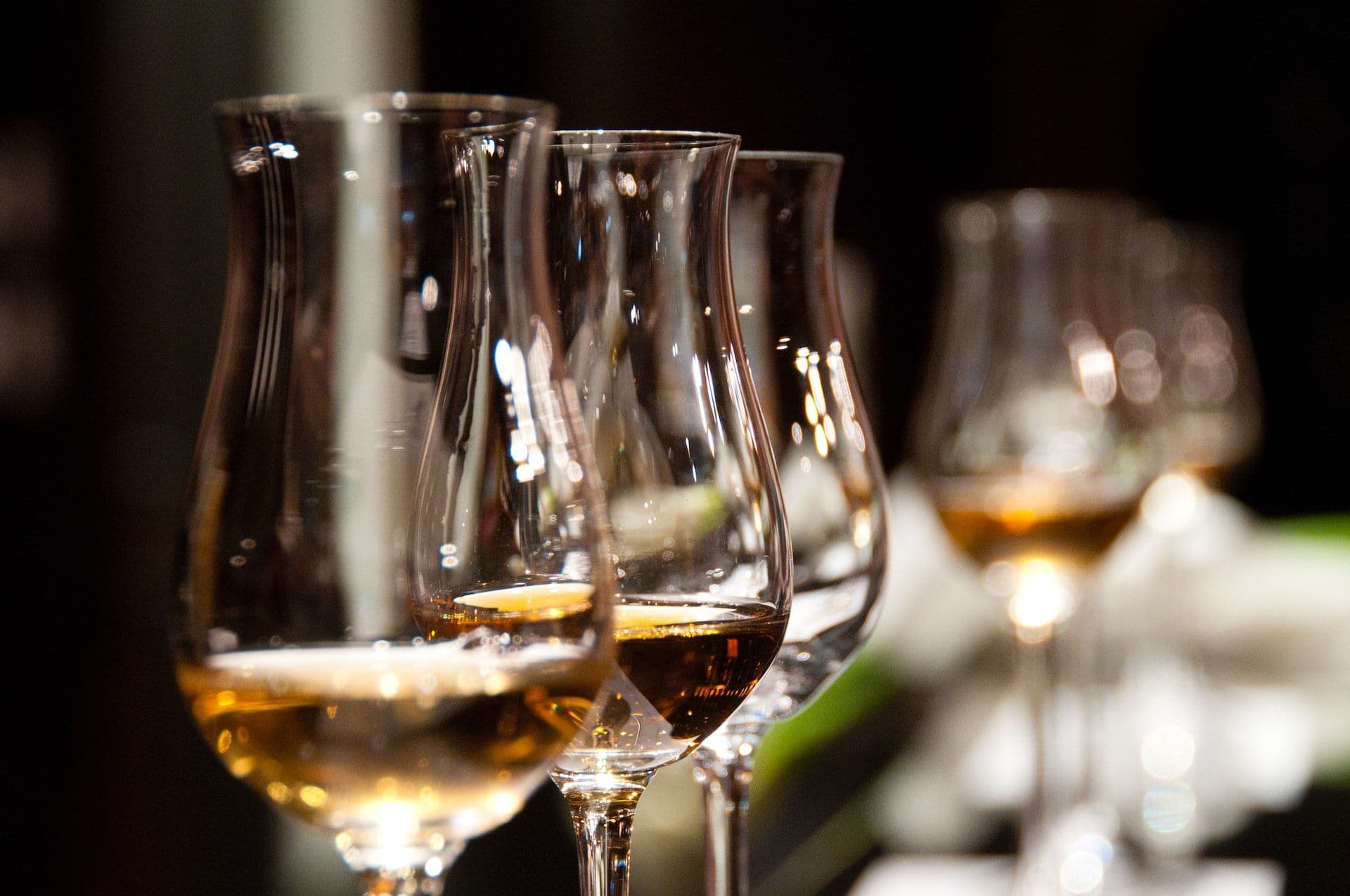 The French Wine Festival will start on October 10