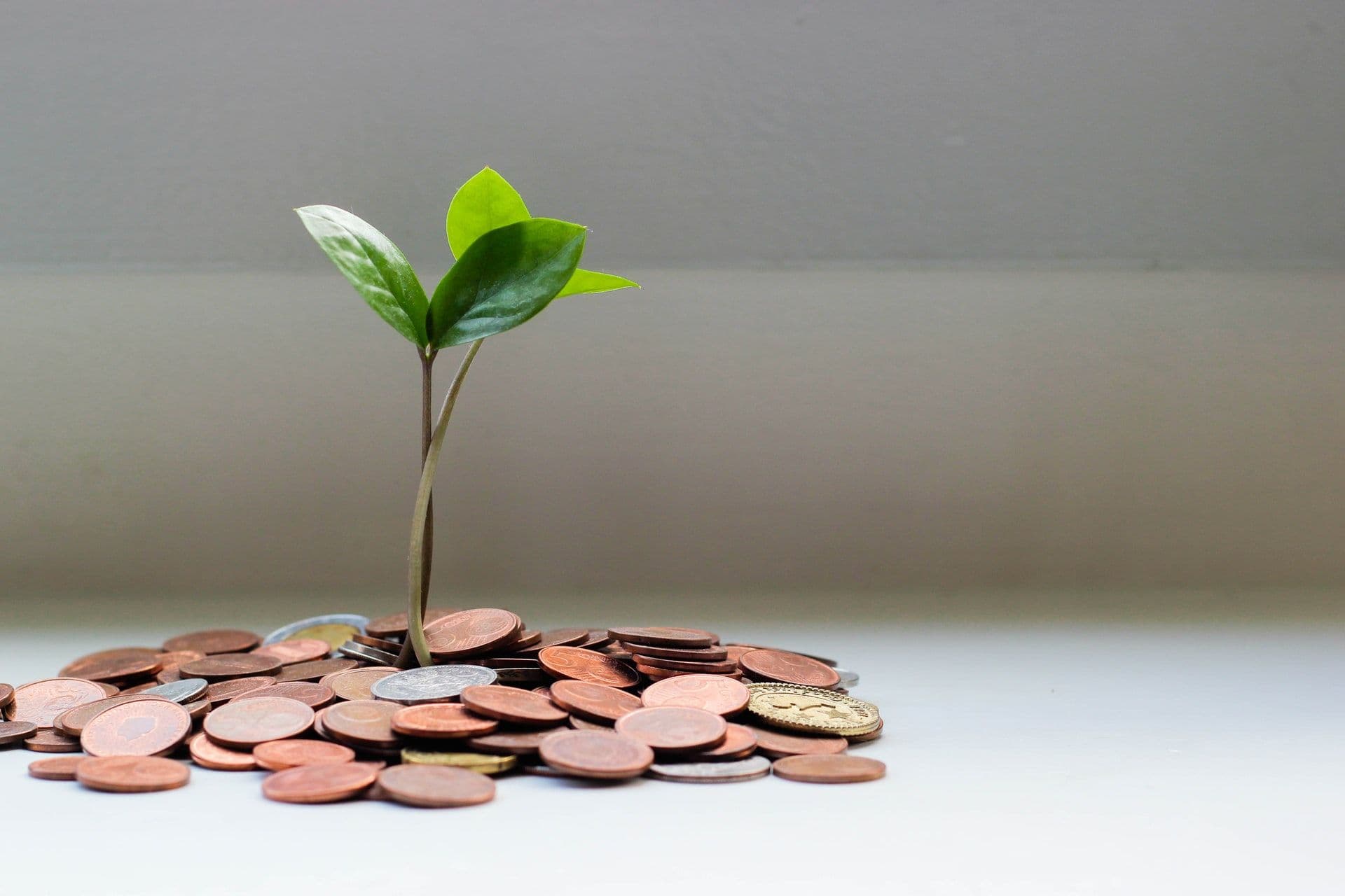 Salaries in Luxembourg depend on a STATEC study