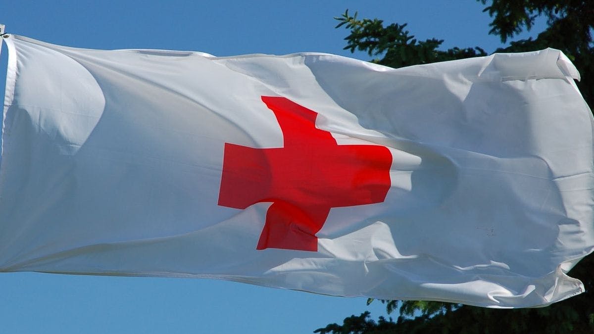 Ярмарка вакансий: Люксембургский Красный Крест набирает специалистов