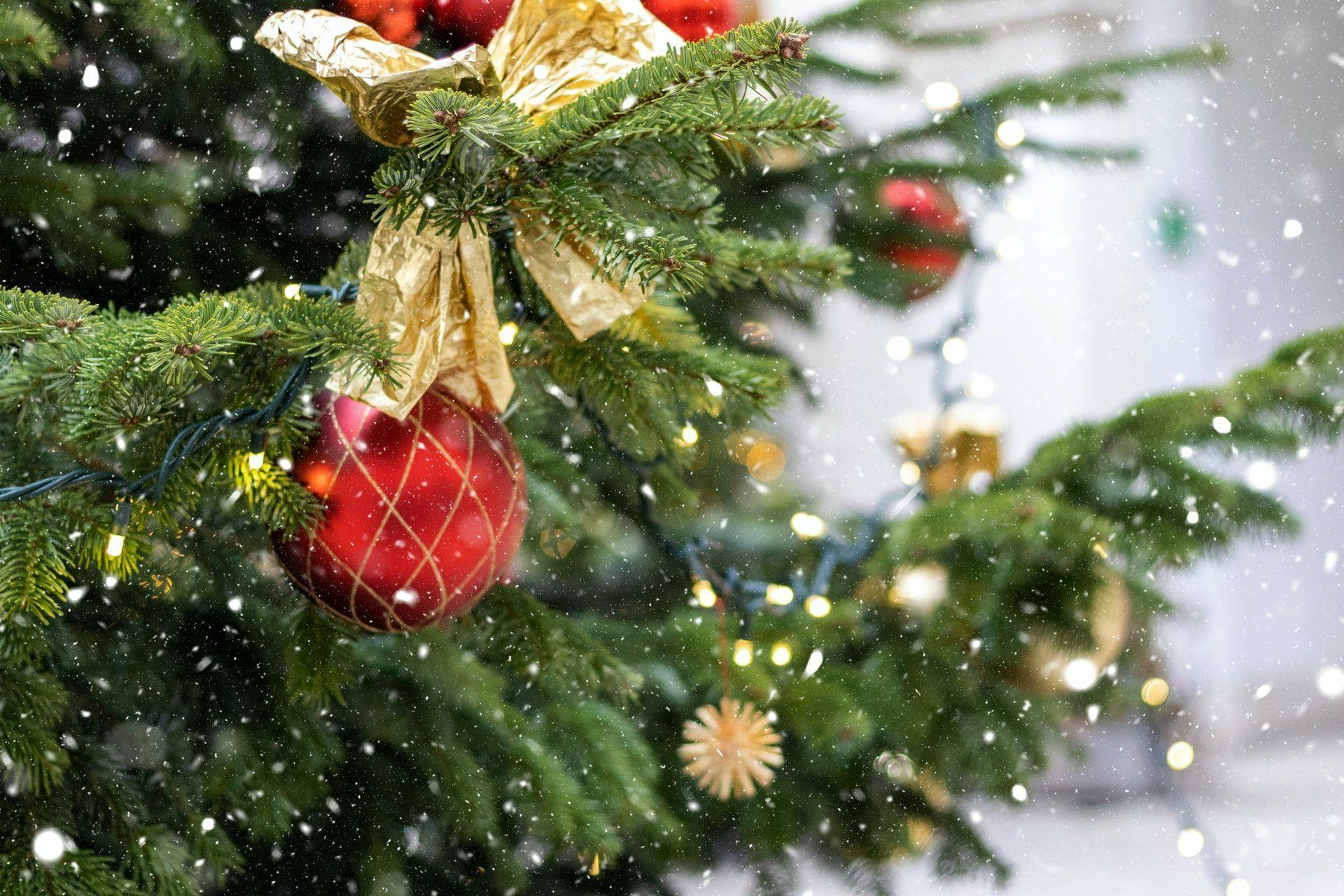 В Люксембурге установили рождественскую ель