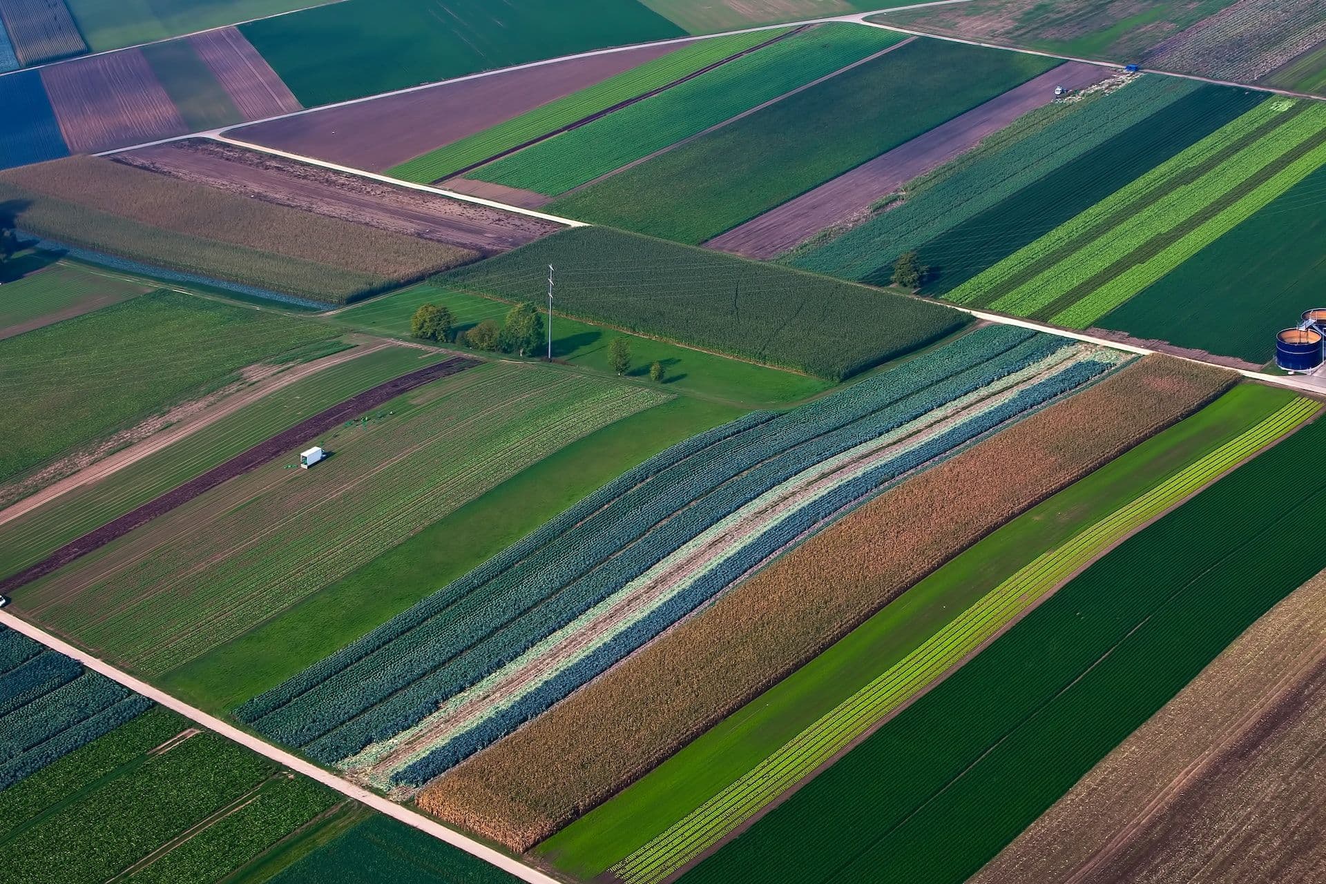 Luxembourg temporarily abandons environmental agenda to ensure that residents are fed