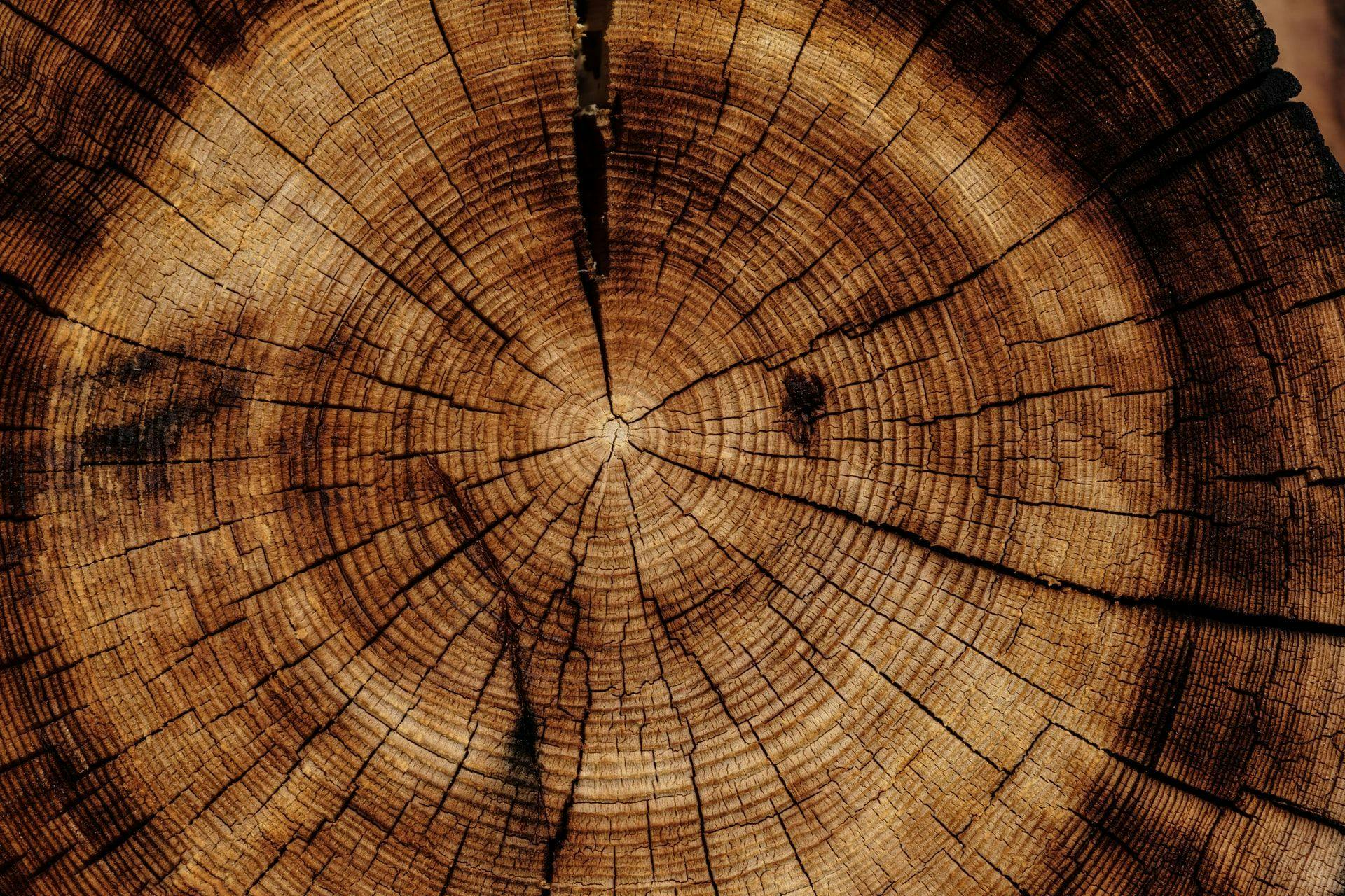 Палата квалифицированной торговли и ремесел Люксембурга заявила о дефиците древесины и стали