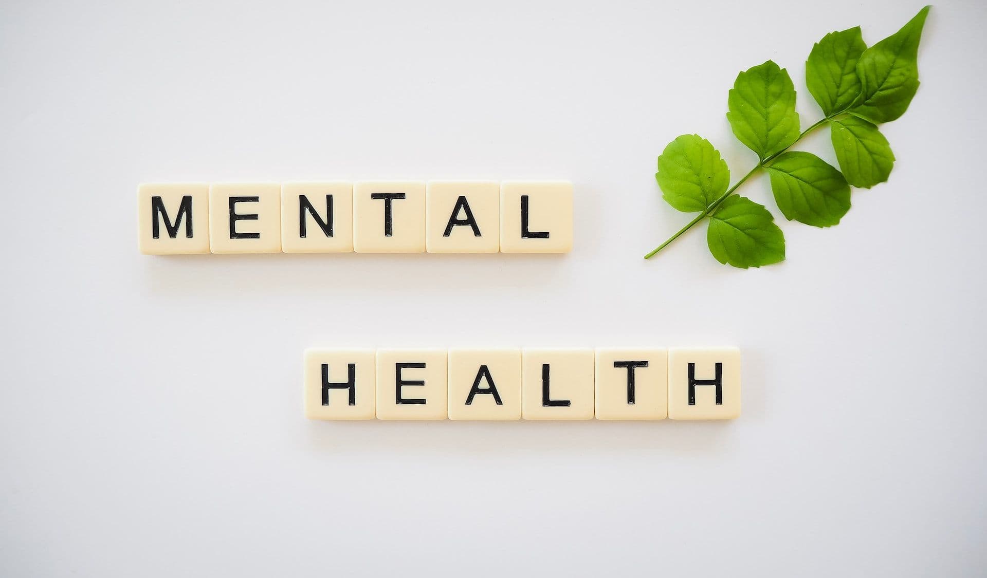 National mental health plan to be presented in 2023