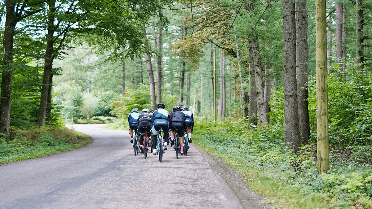 Велосипедисты этим летом смогут проехаться по одиннадцати маршрутам