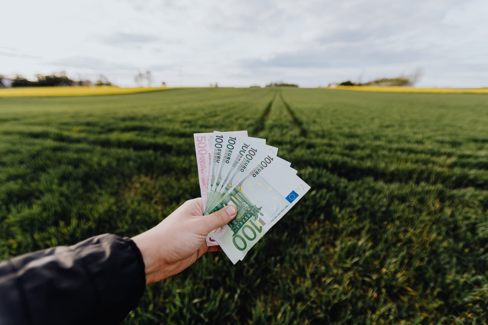 Фото: Karolina Grabowska, Pexels