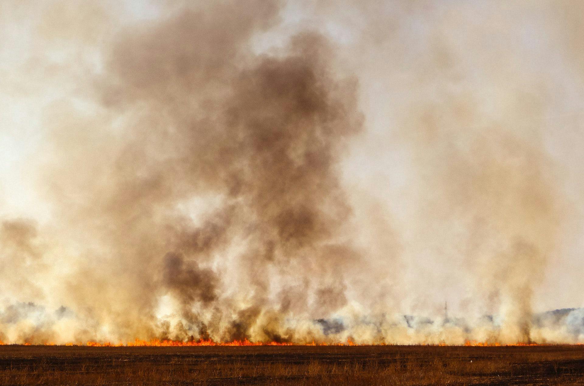 Пожары из-за жары в Люксембурге: горят поля, леса и мусорные баки