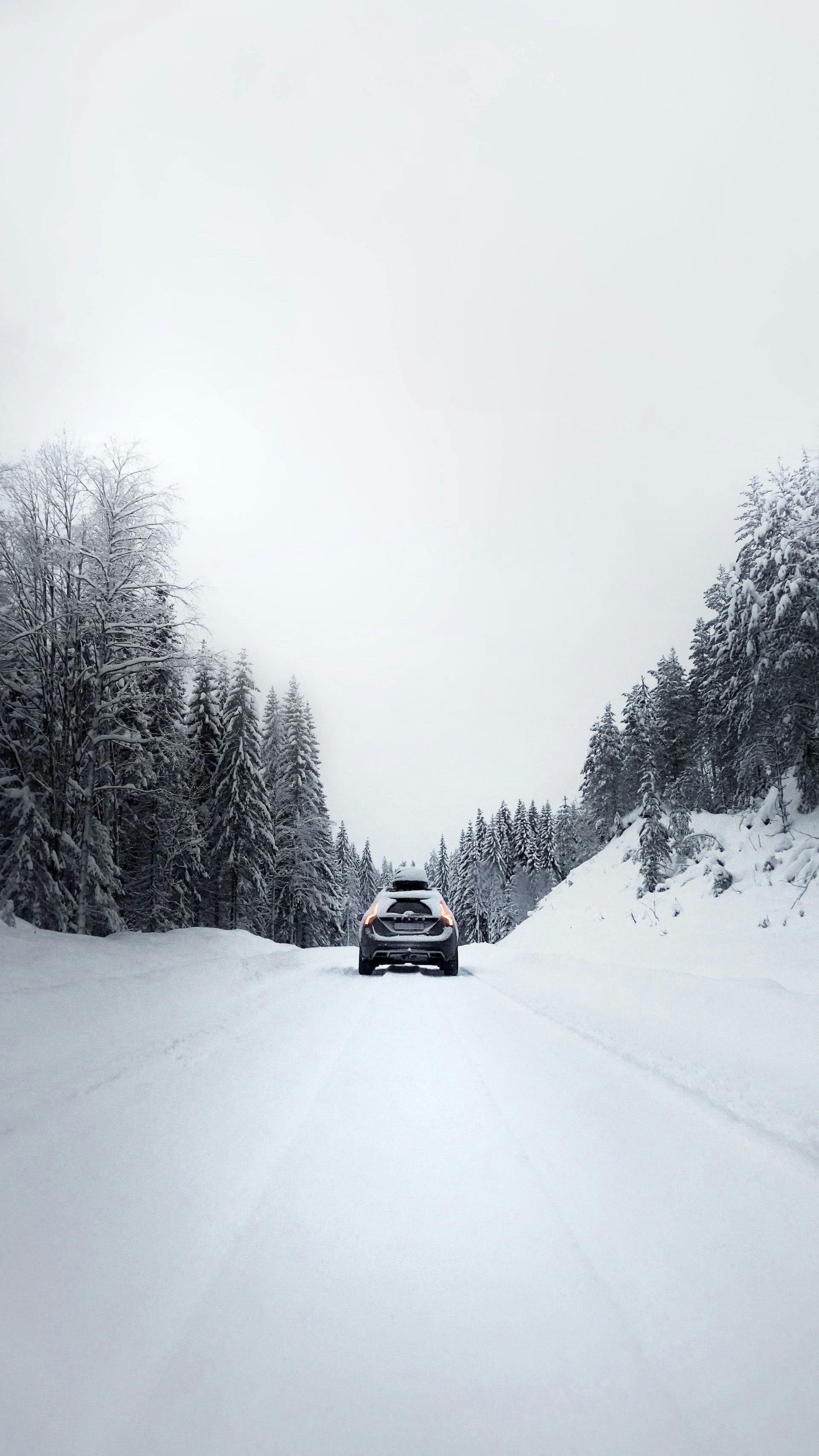 Несмотря на снег, лёд и короткие дни, зима — не самое опасное время года на дорогах