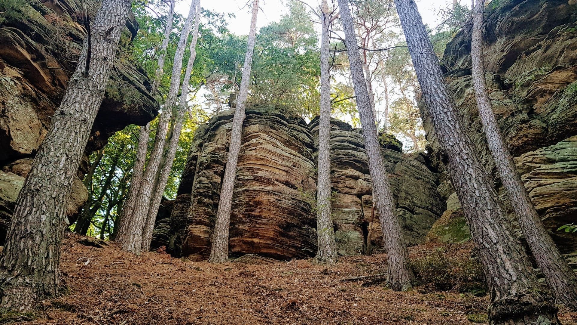 Туристы в родной стране: люксембуржцы израсходовали почти 140 000 ваучеров