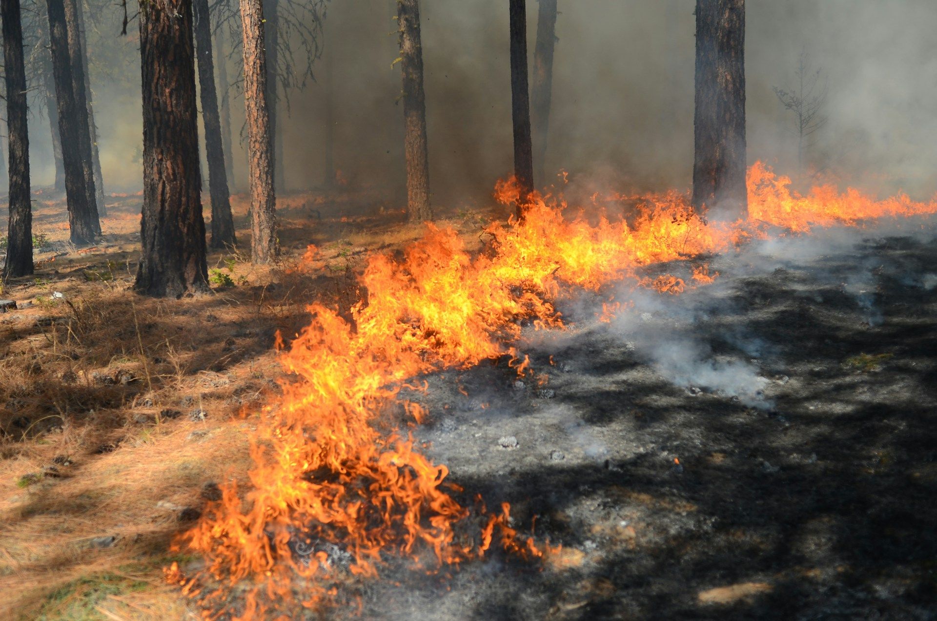 Luxembourg is making thorough preparations to tackle forest fires