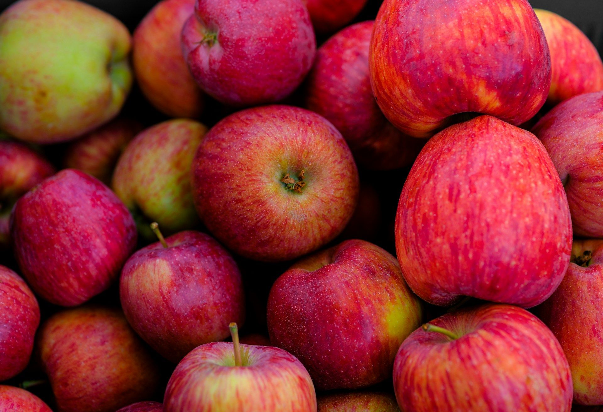 EU farmers harvest 62.2 million tonnes of vegetables and 24.3 million tonnes of fruit in 2024