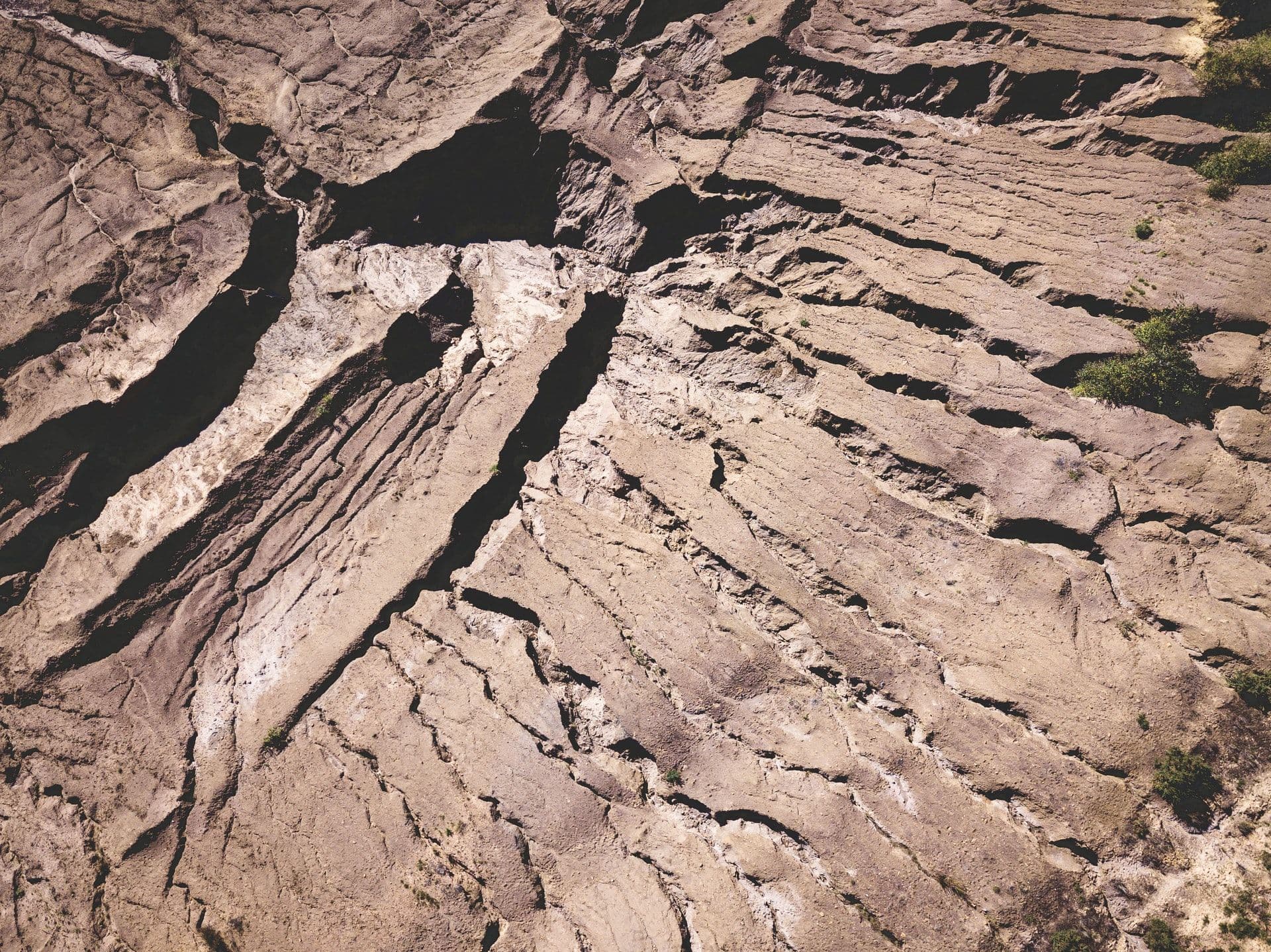 Монастырский сад Saint Willibrord»s может стать национальным памятником