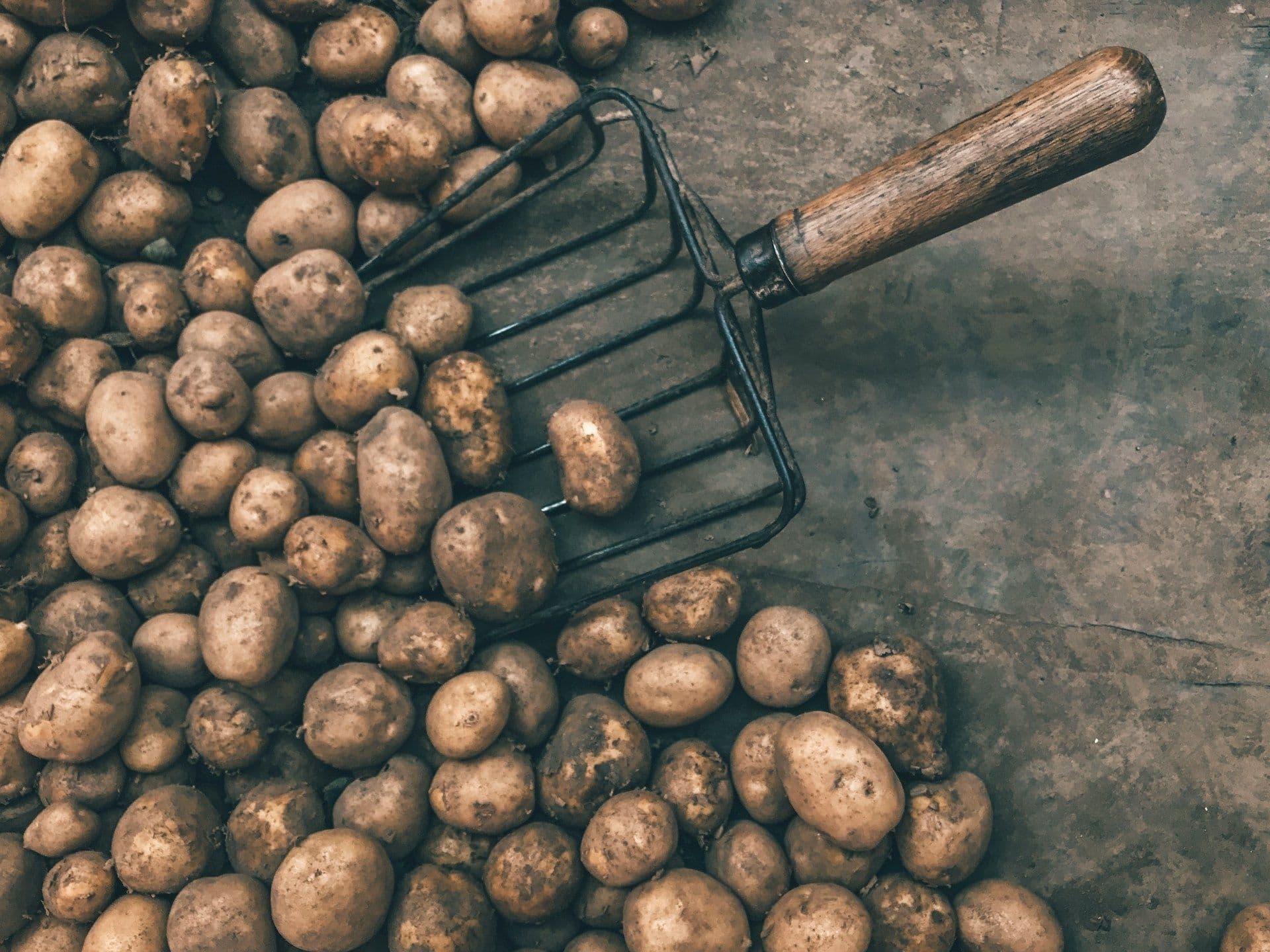 Potatoes in Luxembourg